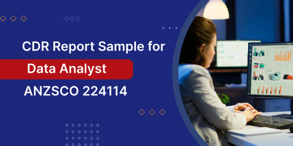 Data Analyst