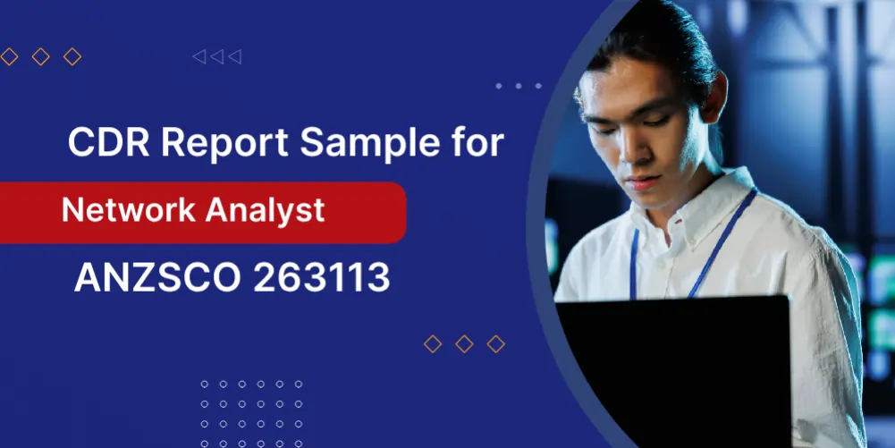 Network Analyst